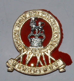 1519thHUSSARSANODISEDCAPBADGE66jPG.JPG