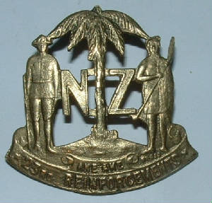 23rdREINFORCEMENTSREGTCAPBADGE1JPG.JPG