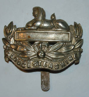 5th6thBnGLOUCESTERSHIREREGTCAPBADGE1JPG.JPG