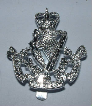 A8thBnIRISHLIVERPOOLREGTANODISEDCAPBADGE1.JPG