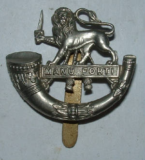 AAHEREFORDSHIRELIGHTINFCAPBADGE1PG.JPG