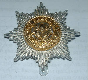 ACHESHIREREGTANODISEDCAPBADGE1JPG.JPG