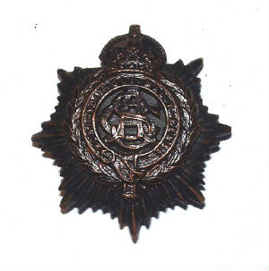 ARMYSERVICECORPSOFFICERSBzCAPBADGE1JPG.JPG