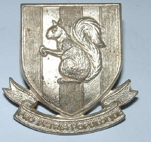 BLUNDELLSCHOOLOTCCAPBADGE1JPG.JPG