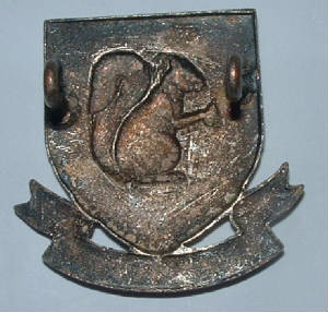 BLUNDELLSCHOOLOTCCAPBADGE2JPG.JPG