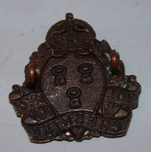 CHESHIREVTCVOLREGTWW1CAPBADGES2JPG.JPG