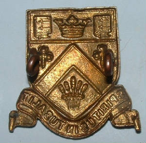 CLIFTONCOLLEGECAPBADGE2JPG.JPG