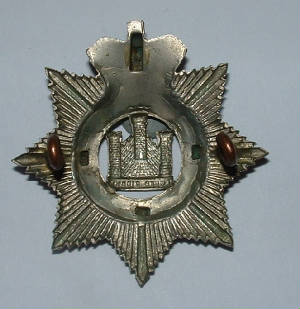 DEVONSHIREREGTPRE1901CAPBADGE2JPG.JPG