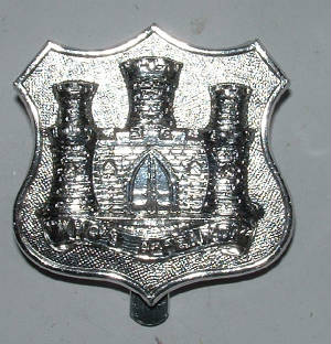 DOESETTERRITORIALSANODISEDCAPBADGE1JPG.JPG