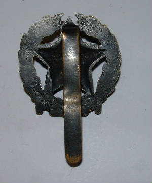 INDIANENGINEERSBADGE2JPG.JPG