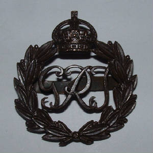 INDIANGENERALSERVICEOFFICERSBzCAPBADGE2JPG.JPG