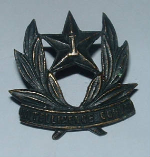 INDIANINTELLIGENCECORPSCAPBADGE1JPG.JPG