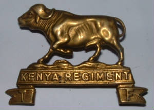 KENYAREGTCAPBADGE1JPG.JPG