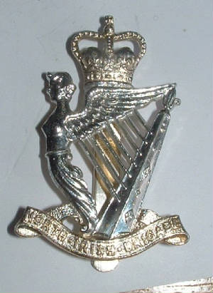 NORTHIRISHBRIGADESTAYBRITEBADGE1JPG.JPG