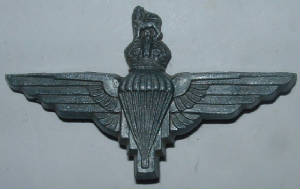 PARACHUTEREGTRAREPLASTICCAPBADGE1JPG.JPG