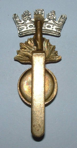 ROYALIRISHFUFCAPBADGE2.JPG