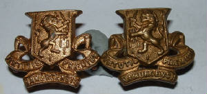 ROYALIRISHREGTPAIROFCOLLARBADGES1JPG.JPG