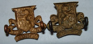 ROYALIRISHREGTPAIROFCOLLARBADGES2JPG.JPG