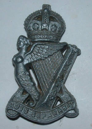 ROYALULSTERRIFLERAREPLASTICCAPBADGE1JPG.JPG