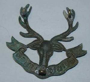 SEAFORTHHIGHLANDERGLENGARRYBADGE2JPG.JPG