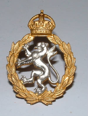 WOMANSROYALARMYCORPSOFFICERSCAPBADGE1JPG.JPG