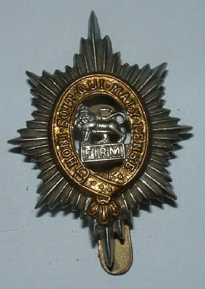 WORCESTERSHIREREGTPOST1920CAPBADGE1JPG.JPG