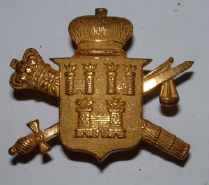 aDublinFireBrigadepre1916giltcapbadge1JPG.JPG